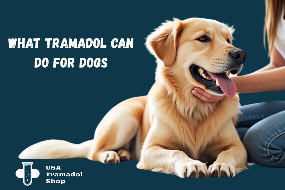 Tramadol online for dogs
