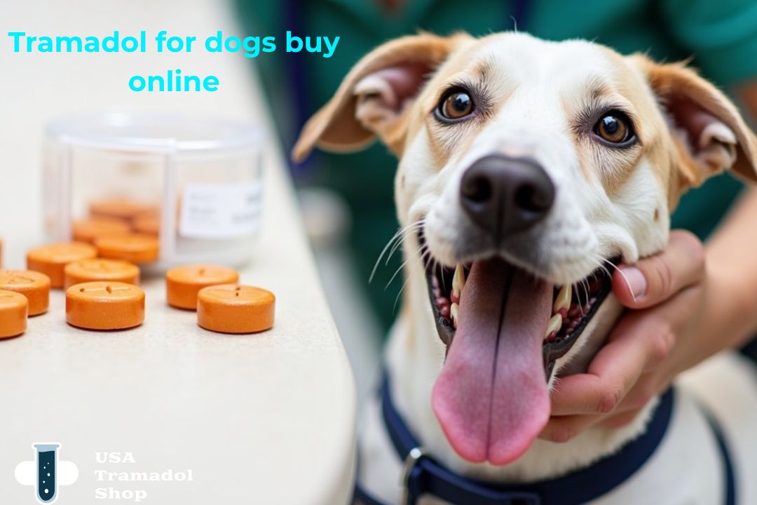 Tramadol for dogs buy online: A Full Guide