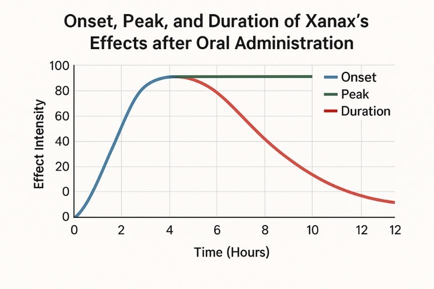 line chart showing the onset, peak, and duration of Xanax’s effects after oral administration.